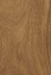 gach viglacera pt 21206 t2 5