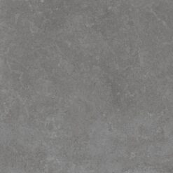 Gạch Viglacera PT20-G6603
