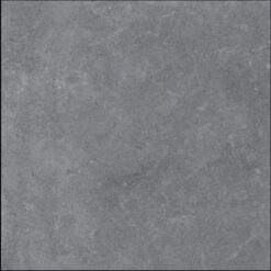 Gạch Viglacera PT20-G6605