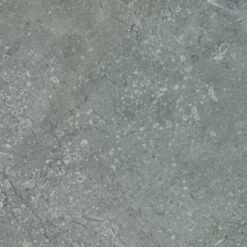 Gạch Viglacera SH-CE3602