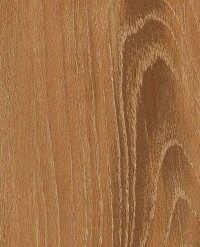 gach viglacera sh gk21005 5