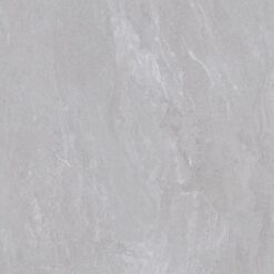 Gạch Viglacera SH20-6603