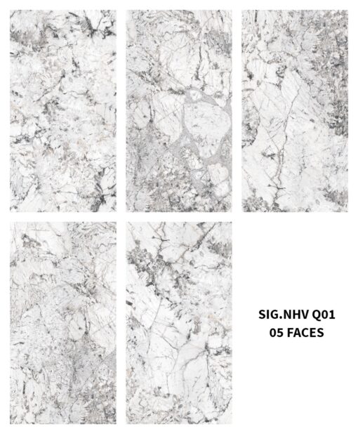 gach viglacera sig nhv q01 3