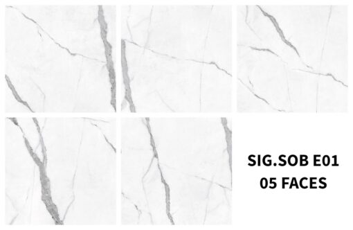 gach viglacera sig sob e01 2