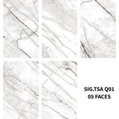 gach viglacera sig tsa q01 2