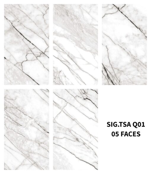 gach viglacera sig tsa q01 2