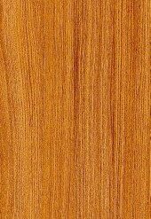 gach viglacera t15905 1 9
