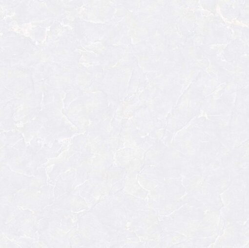 gach viglacera tb6506 1