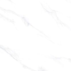 Gạch Viglacera TB6701