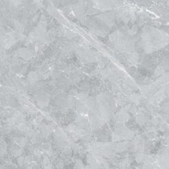 Gạch Viglacera TB809