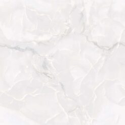 Gạch Viglacera TB892-1