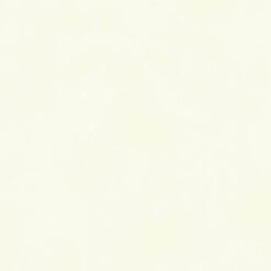 Gạch Viglacera TL4807