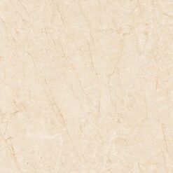Gạch Viglacera TQ803