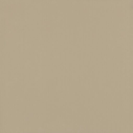 gach viglacera ts6 602 1