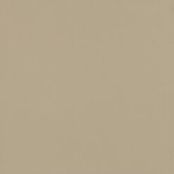 Gạch Viglacera TS6 602