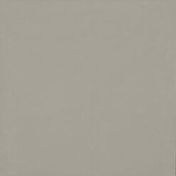 Gạch Viglacera TS6 803