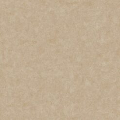Gạch Viglacera VG6002