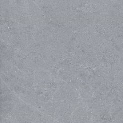Gạch Viglacera VI2-GM81603-1